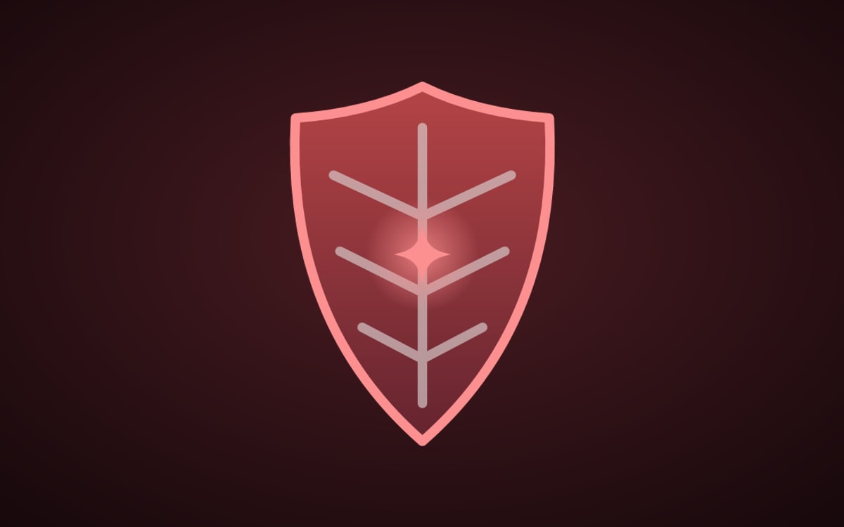 Portada del proyecto Coraza